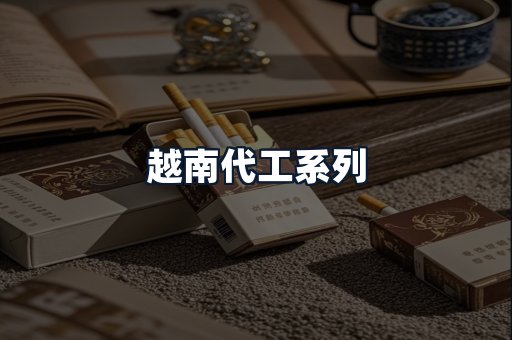 越南代工系列